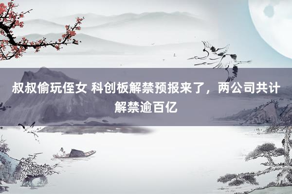 叔叔偷玩侄女 科创板解禁预报来了，两公司共计解禁逾百亿