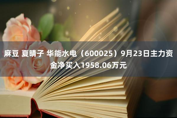 麻豆 夏晴子 华能水电（600025）9月23日主力资金净买入1958.06万元
