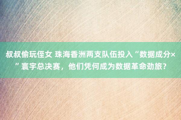 叔叔偷玩侄女 珠海香洲两支队伍投入“数据成分×”寰宇总决赛，他们凭何成为数据革命劲旅？