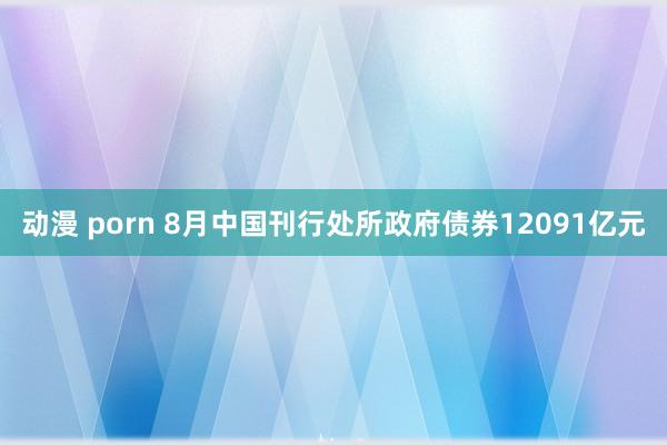 动漫 porn 8月中国刊行处所政府债券12091亿元