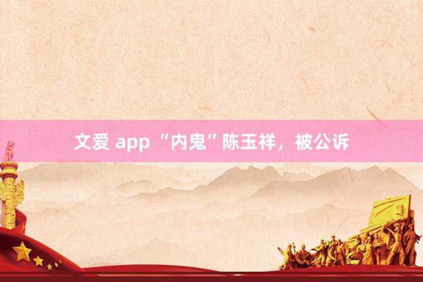 文爱 app “内鬼”陈玉祥，被公诉