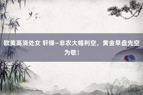 欧美高清处女 轩锋—非农大幅利空，黄金早盘先空为敬！