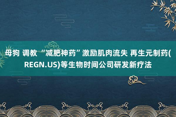母狗 调教 “减肥神药”激励肌肉流失 再生元制药(REGN.US)等生物时间公司研发新疗法