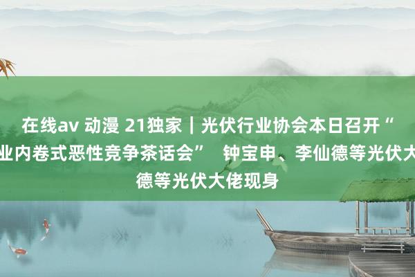 在线av 动漫 21独家｜光伏行业协会本日召开“防患行业内卷式恶性竞争茶话会”   钟宝申、李仙德等光伏大佬现身