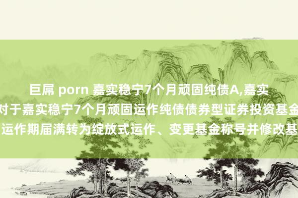 巨屌 porn 嘉实稳宁7个月顽固纯债A,嘉实稳宁7个月顽固纯债C: 对于嘉实稳宁7个月顽固运作纯债债券型证券投资基金顽固运作期届满转为绽放式运作、变更基金称号并修改基金合同、托管公约部分要求的公告