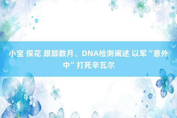 小宝 探花 跟踪数月、DNA检测阐述 以军“意外中”打死辛瓦尔