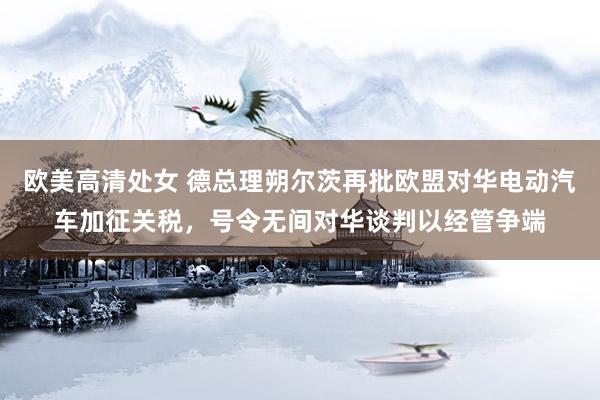 欧美高清处女 德总理朔尔茨再批欧盟对华电动汽车加征关税，号令无间对华谈判以经管争端
