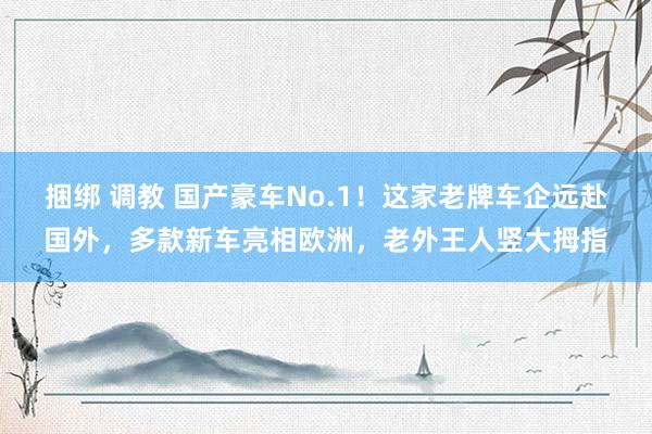 捆绑 调教 国产豪车No.1！这家老牌车企远赴国外，多款新车亮相欧洲，老外王人竖大拇指