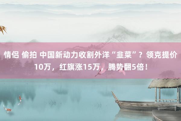 情侣 偷拍 中国新动力收割外洋“韭菜”？领克提价10万，红旗涨15万，腾势翻5倍！
