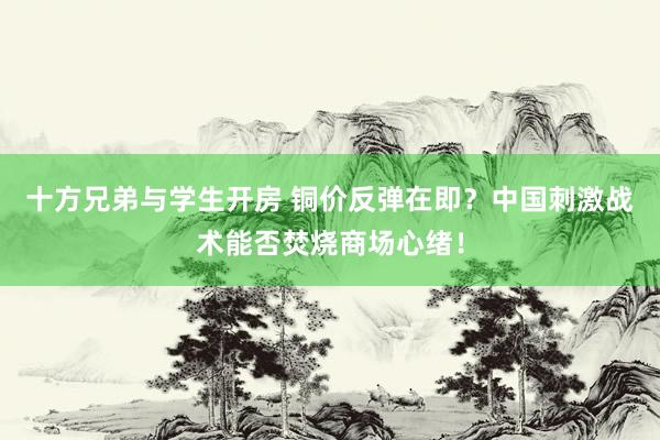 十方兄弟与学生开房 铜价反弹在即？中国刺激战术能否焚烧商场心绪！