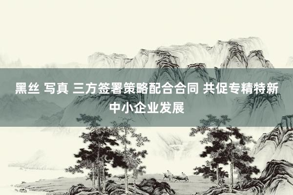 黑丝 写真 三方签署策略配合合同 共促专精特新中小企业发展