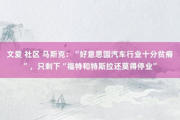 文爱 社区 马斯克：“好意思国汽车行业十分贫瘠”，只剩下“福特和特斯拉还莫得停业”