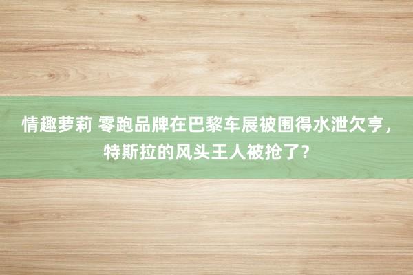 情趣萝莉 零跑品牌在巴黎车展被围得水泄欠亨，特斯拉的风头王人被抢了？