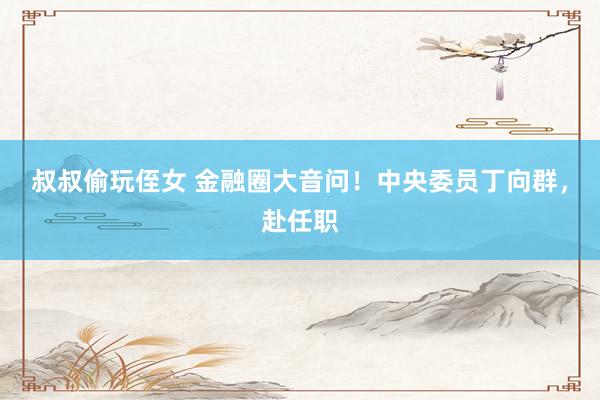 叔叔偷玩侄女 金融圈大音问！中央委员丁向群，赴任职