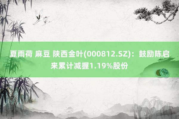 夏雨荷 麻豆 陕西金叶(000812.SZ)：鼓励陈启来累计减握1.19%股份