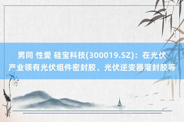 男同 性愛 硅宝科技(300019.SZ)：在光伏产业领有光伏组件密封胶、光伏逆变器灌封胶等