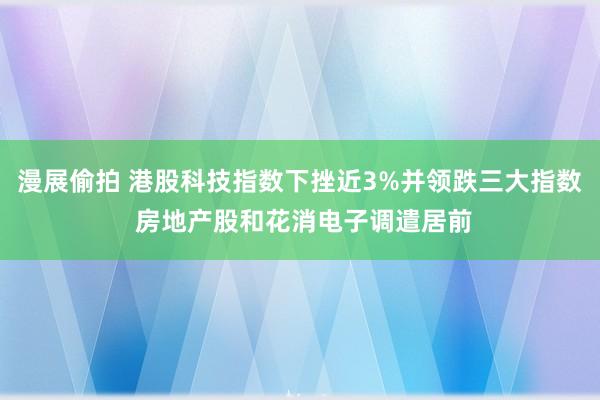 漫展偷拍 港股科技指数下挫近3%并领跌三大指数 房地产股和花消电子调遣居前