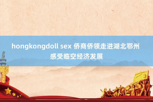 hongkongdoll sex 侨商侨领走进湖北鄂州 感受临空经济发展