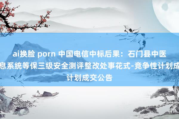 ai换脸 porn 中国电信中标后果：石门县中医病院信息系统等保三级安全测评整改处事花式-竞争性计划成交公告