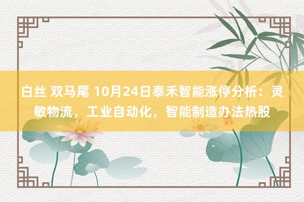白丝 双马尾 10月24日泰禾智能涨停分析：灵敏物流，工业自动化，智能制造办法热股