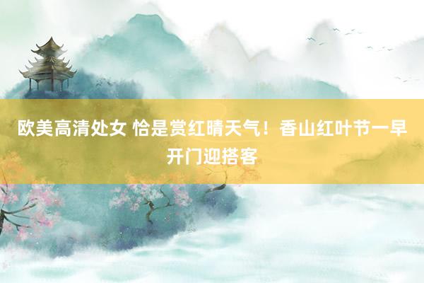 欧美高清处女 恰是赏红晴天气！香山红叶节一早开门迎搭客