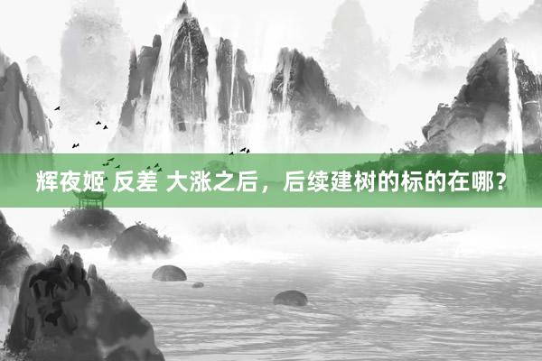 辉夜姬 反差 大涨之后，后续建树的标的在哪？