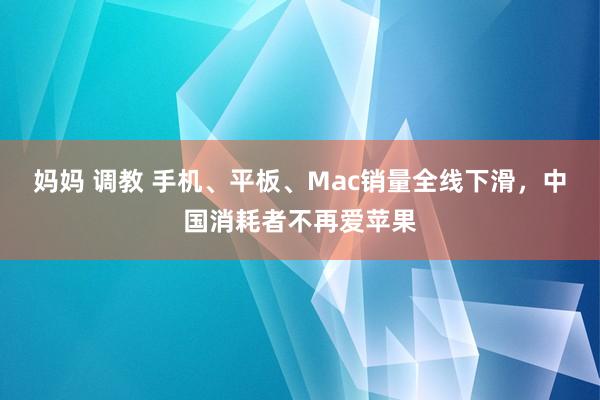 妈妈 调教 手机、平板、Mac销量全线下滑，中国消耗者不再爱苹果