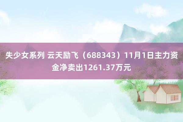 失少女系列 云天励飞（688343）11月1日主力资金净卖出1261.37万元