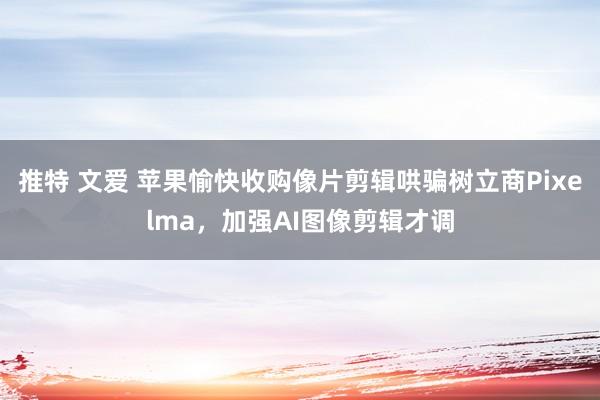 推特 文爱 苹果愉快收购像片剪辑哄骗树立商Pixelma，加强AI图像剪辑才调