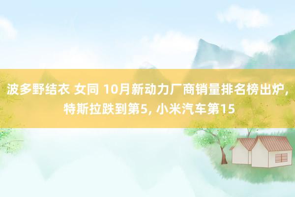 波多野结衣 女同 10月新动力厂商销量排名榜出炉, 特斯拉跌到第5, 小米汽车第15