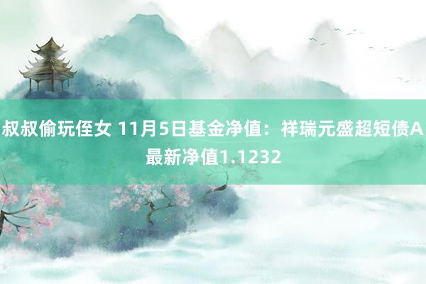 叔叔偷玩侄女 11月5日基金净值：祥瑞元盛超短债A最新净值1.1232
