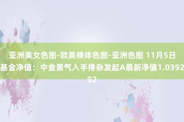 亚洲美女色图-欧美裸体色图-亚洲色图 11月5日基金净值：中金景气入手搀杂发起A最新净值1.0392