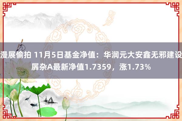 漫展偷拍 11月5日基金净值：华润元大安鑫无邪建设羼杂A最新净值1.7359，涨1.73%