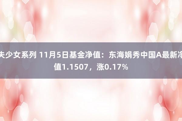 失少女系列 11月5日基金净值：东海娟秀中国A最新净值1.1507，涨0.17%