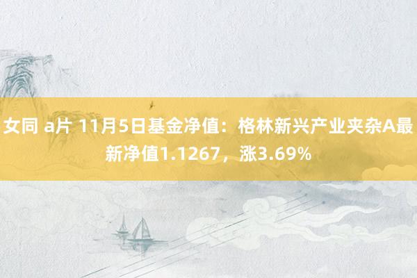 女同 a片 11月5日基金净值：格林新兴产业夹杂A最新净值1.1267，涨3.69%