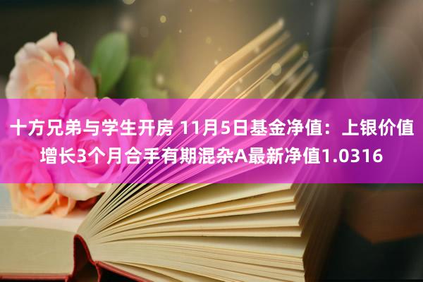 十方兄弟与学生开房 11月5日基金净值：上银价值增长3个月合手有期混杂A最新净值1.0316