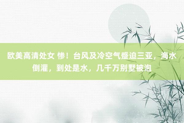 欧美高清处女 惨！台风及冷空气蹙迫三亚，海水倒灌，到处是水，几千万别墅被泡
