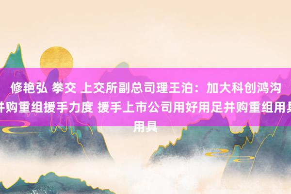 修艳弘 拳交 上交所副总司理王泊：加大科创鸿沟并购重组援手力度 援手上市公司用好用足并购重组用具