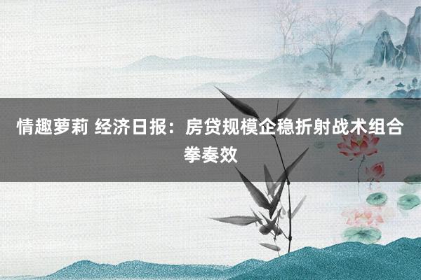 情趣萝莉 经济日报：房贷规模企稳折射战术组合拳奏效