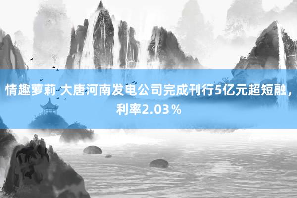 情趣萝莉 大唐河南发电公司完成刊行5亿元超短融，利率2.03％