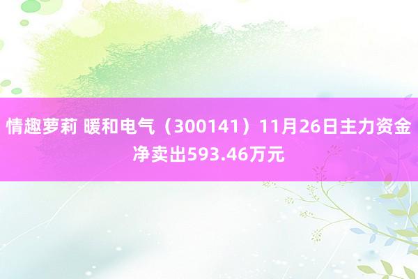 情趣萝莉 暖和电气（300141）11月26日主力资金净卖出593.46万元