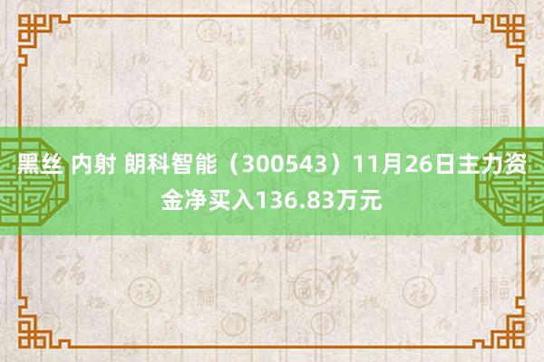 黑丝 内射 朗科智能（300543）11月26日主力资金净买入136.83万元