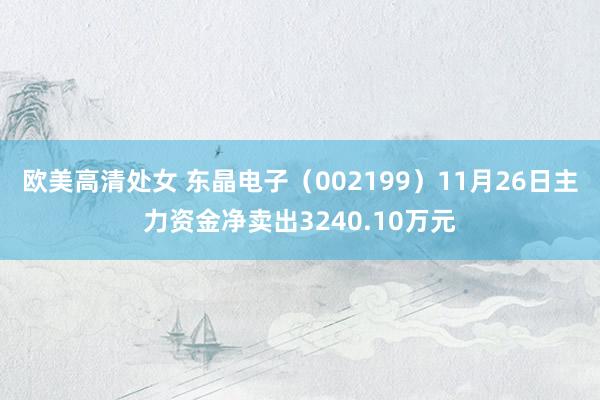 欧美高清处女 东晶电子（002199）11月26日主力资金净卖出3240.10万元