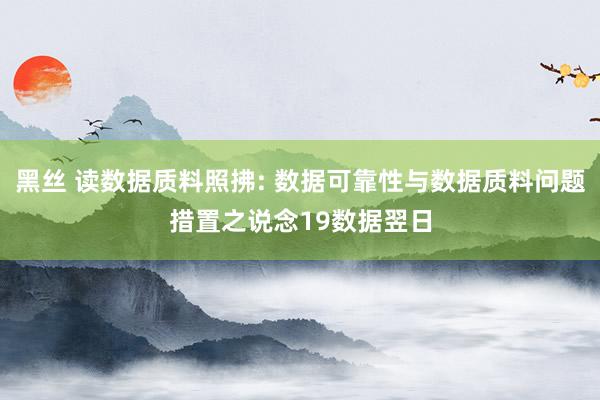 黑丝 读数据质料照拂: 数据可靠性与数据质料问题措置之说念19数据翌日