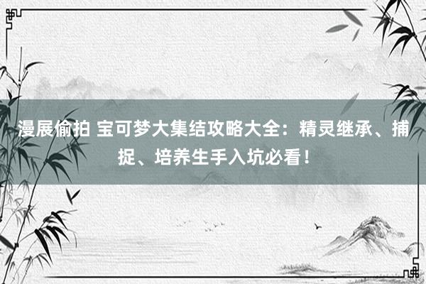 漫展偷拍 宝可梦大集结攻略大全：精灵继承、捕捉、培养生手入坑必看！