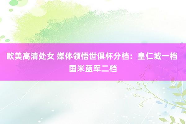 欧美高清处女 媒体领悟世俱杯分档：皇仁城一档 国米蓝军二档