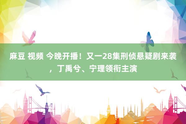 麻豆 视频 今晚开播！又一28集刑侦悬疑剧来袭，丁禹兮、宁理领衔主演