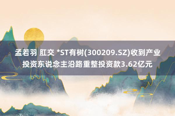 孟若羽 肛交 *ST有树(300209.SZ)收到产业投资东说念主沿路重整投资款3.62亿元