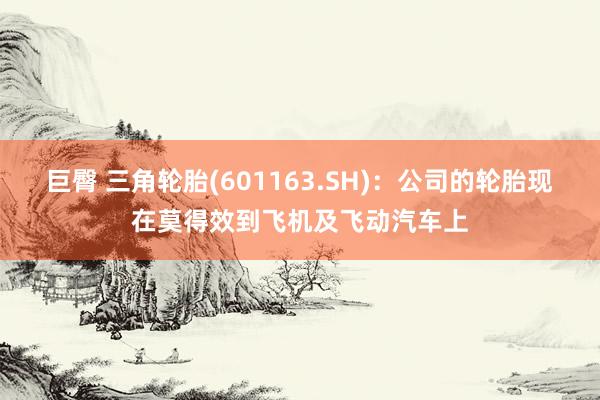 巨臀 三角轮胎(601163.SH)：公司的轮胎现在莫得效到飞机及飞动汽车上