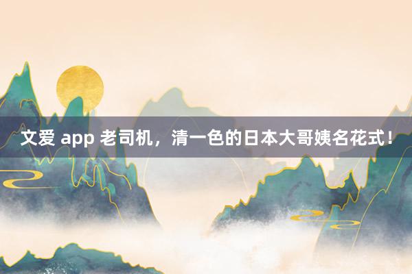 文爱 app 老司机，清一色的日本大哥姨名花式！